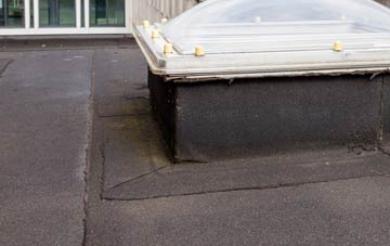 disadvantages of Baile A Mhanaich flat roofs