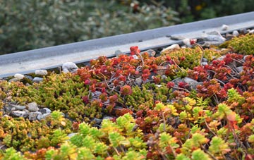 the cost of Baile A Mhanaich green roof installation