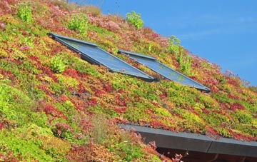 Baile A Mhanaich living roof systems